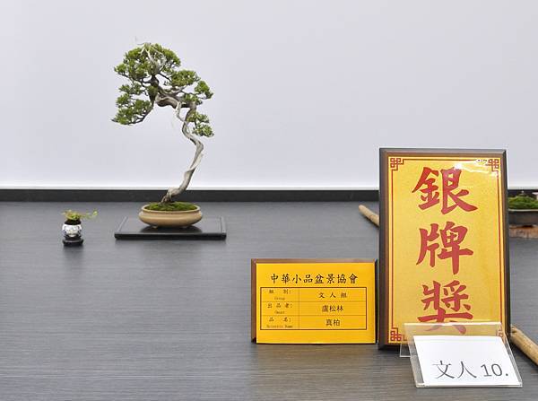 2024雅風展_87.JPG