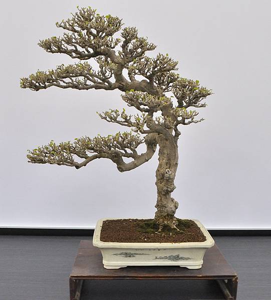 2024雅風展_86.JPG
