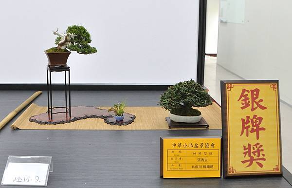 2024雅風展_89.JPG