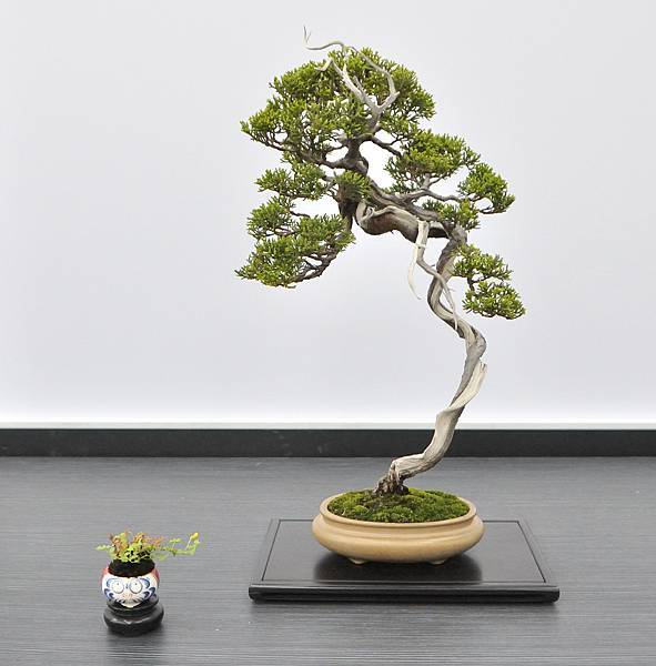 2024雅風展_88.JPG