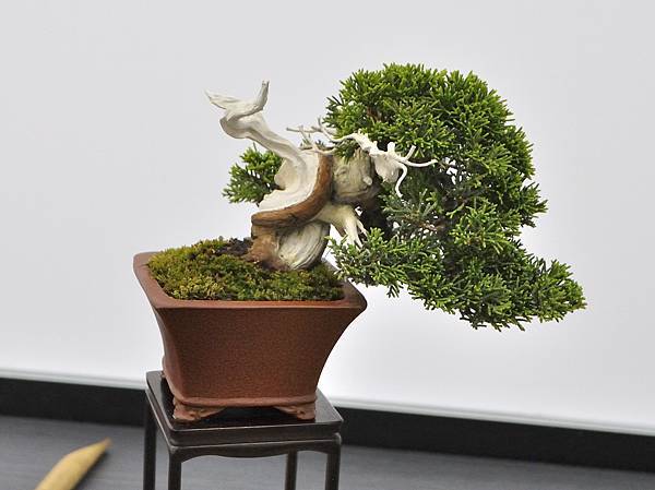 2024雅風展_90.JPG