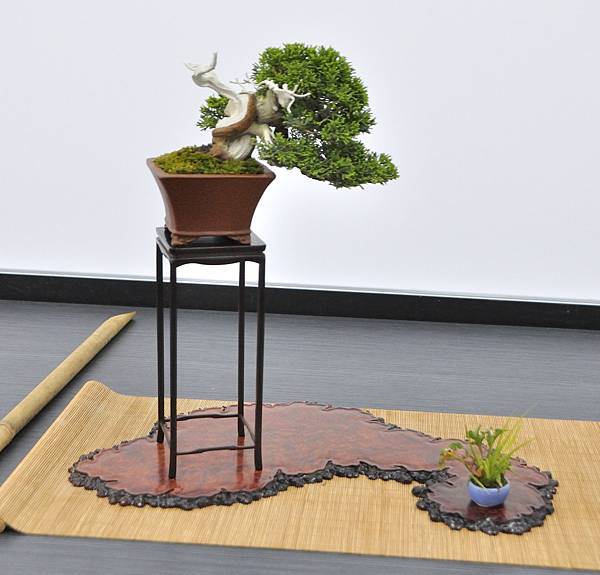 2024雅風展_93.JPG