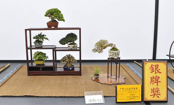 2024雅風展_94.JPG