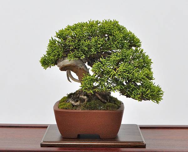 2024雅風展_95.JPG