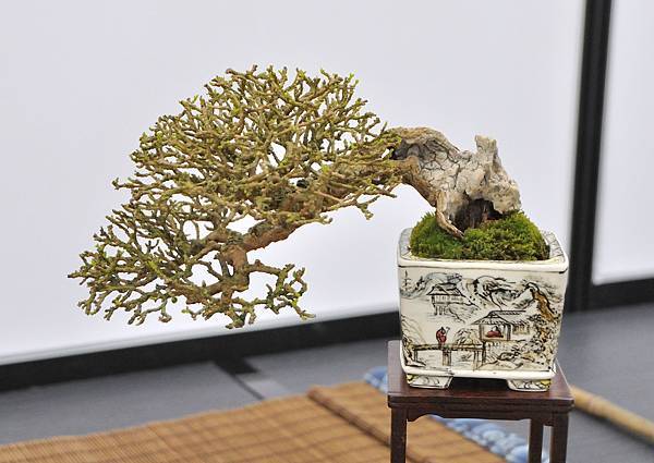 2024雅風展_100.JPG