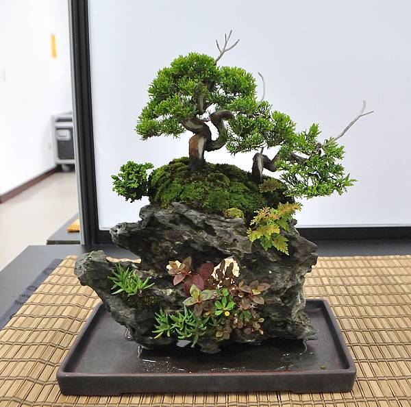 2024雅風展_105.JPG