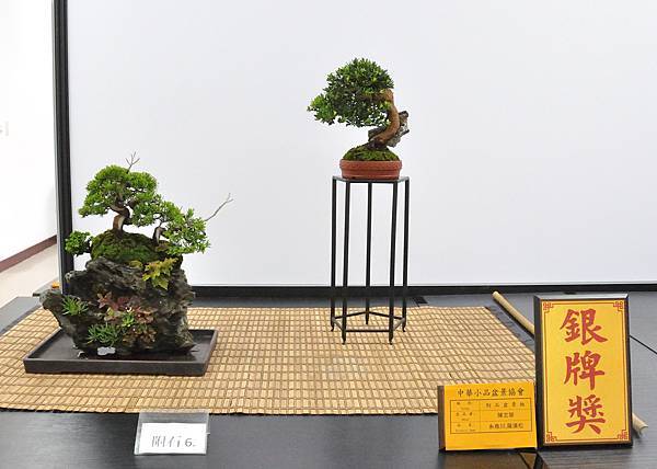 2024雅風展_103.JPG
