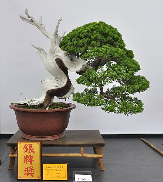 2024雅風展_106.JPG