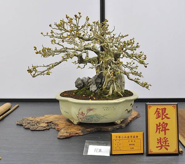 2024雅風展_108.JPG
