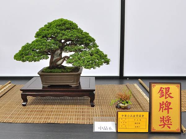 2024雅風展_107.JPG