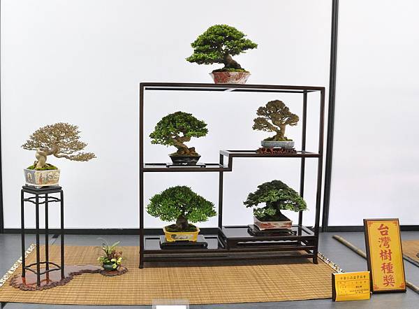2024雅風展_109.JPG