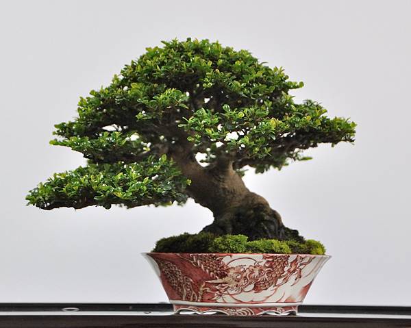 2024雅風展_110.JPG