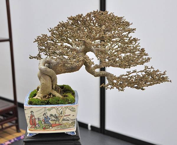 2024雅風展_115.JPG