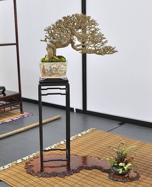 2024雅風展_117.JPG