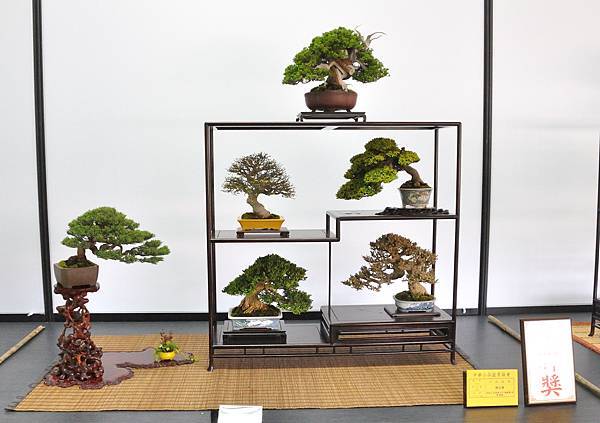 2024雅風展_118.JPG