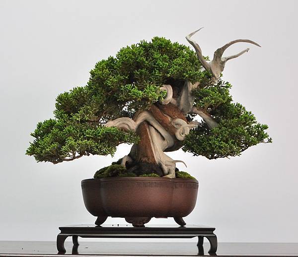 2024雅風展_119.JPG