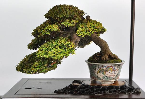 2024雅風展_120.JPG