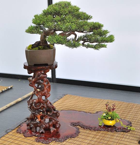 2024雅風展_126.JPG