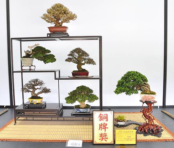 2024雅風展_127.JPG