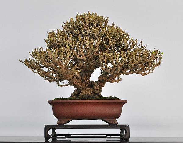 2024雅風展_128.JPG
