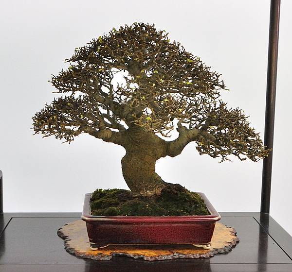2024雅風展_130.JPG