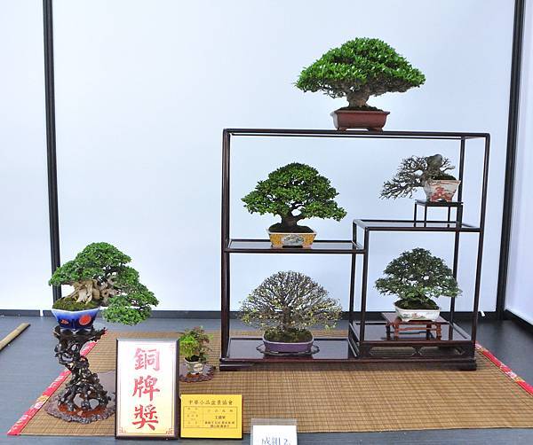 2024雅風展_136.JPG