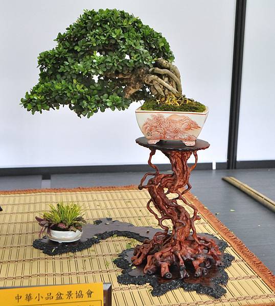 2024雅風展_135.JPG