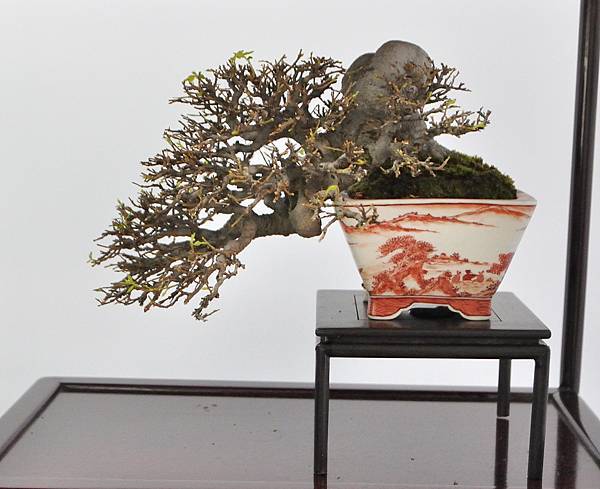 2024雅風展_138.JPG