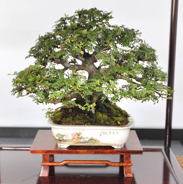 2024雅風展_140.JPG