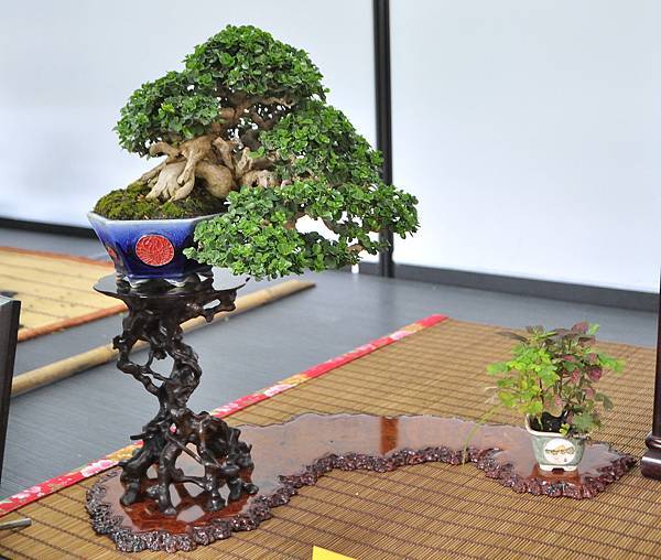 2024雅風展_143.JPG