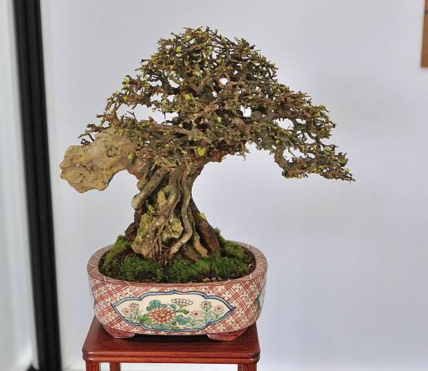 2024雅風展_146.JPG