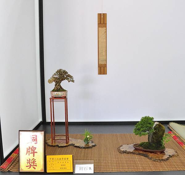 2024雅風展_145.JPG