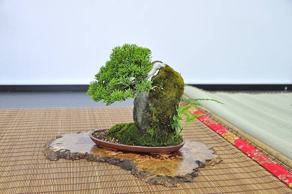 2024雅風展_147.JPG