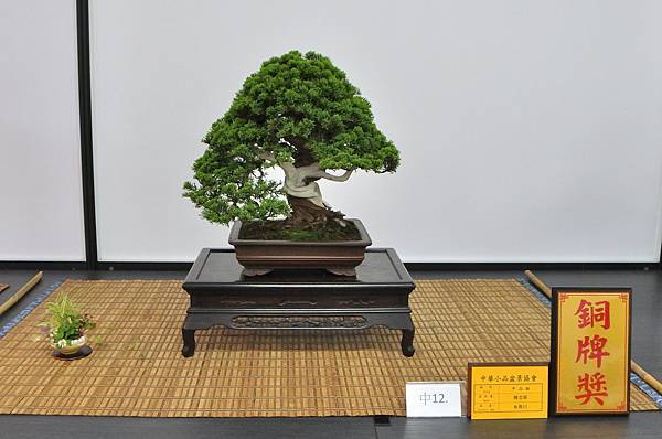 2024雅風展_151.JPG