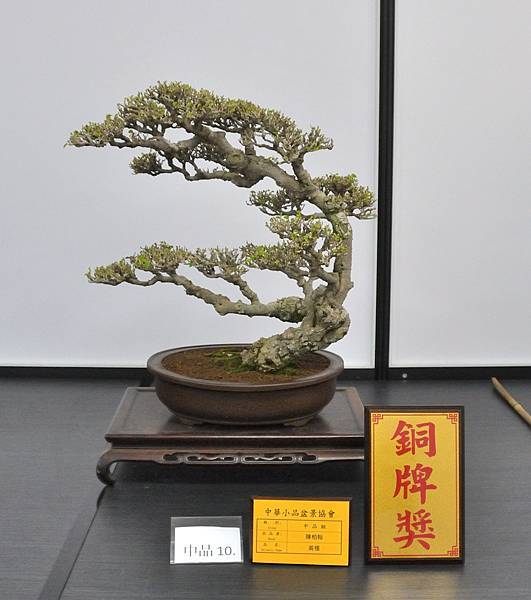 2024雅風展_150.JPG