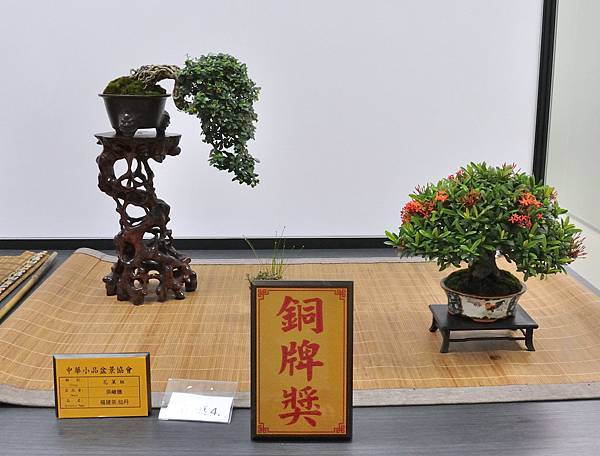 2024雅風展_152.JPG