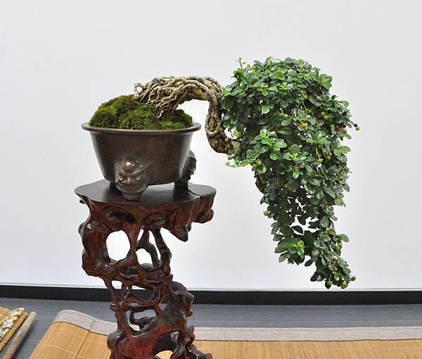2024雅風展_153.JPG