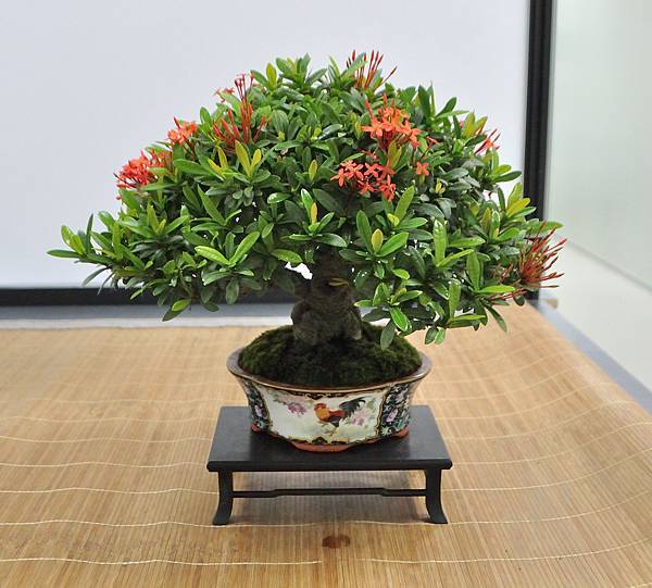 2024雅風展_154.JPG