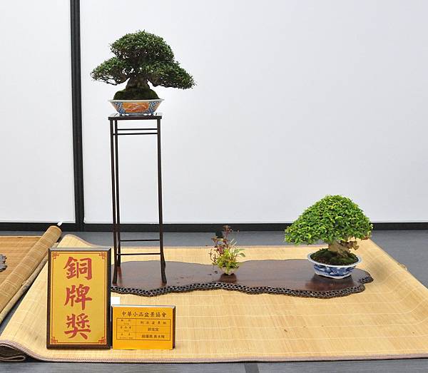 2024雅風展_156.JPG