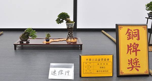 2024雅風展_160.JPG