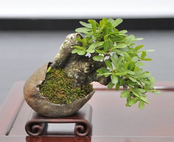2024雅風展_162.JPG
