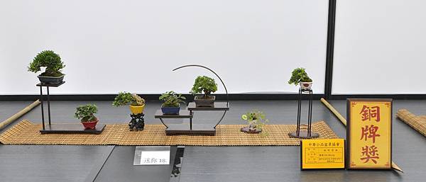 2024雅風展_164.JPG