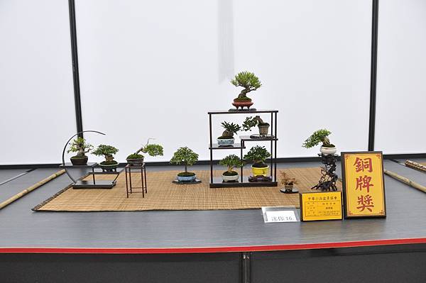 2024雅風展_172.JPG