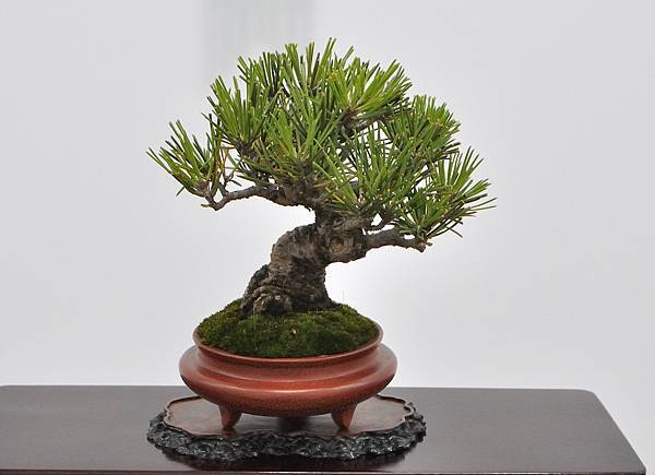 2024雅風展_173.JPG