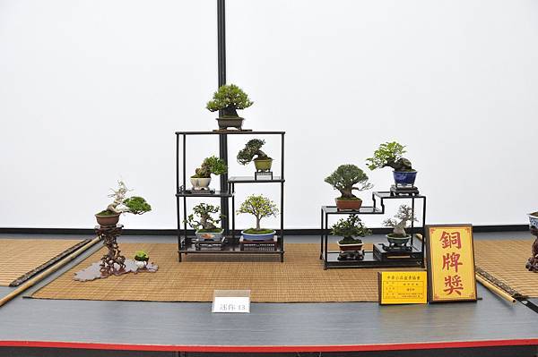2024雅風展_185.JPG