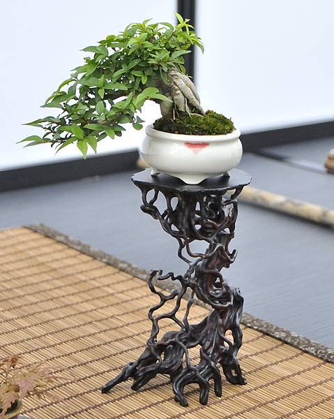 2024雅風展_184.JPG