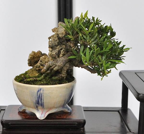 2024雅風展_188.JPG