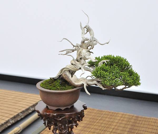 2024雅風展_191.JPG
