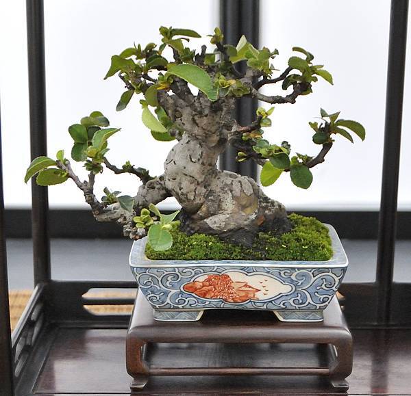 2024雅風展_190.JPG