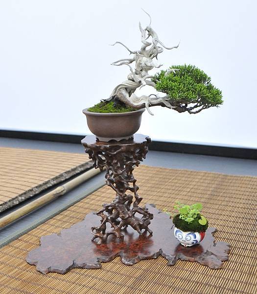 2024雅風展_193.JPG